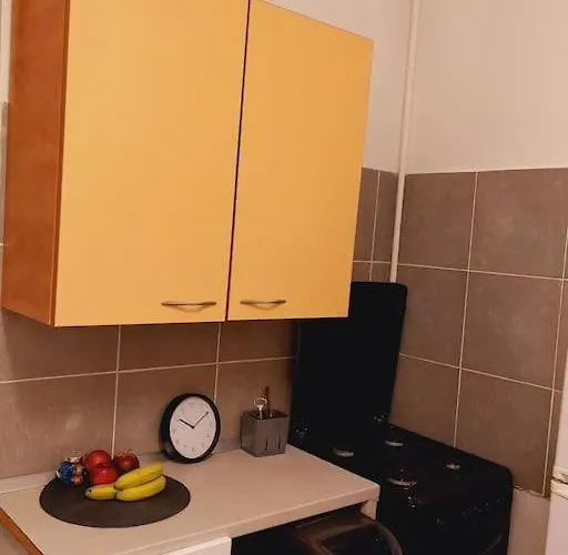 Mini Aproape De Centru Daire Bükreş