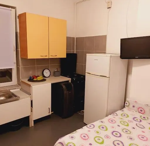 Mini Aproape De Centru *